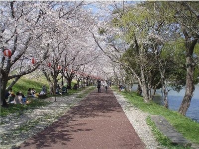 🏞️ 사카즈 공원 (사카즈 코엔)